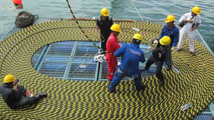 Sinar Mas Kuasai 37,23% Saham, Triasmitra Tetap Fokus di Bisnis Infrastruktur Telko 