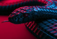 Malware Spionase RAT GoSerppent Incar Rahasia Pemerintah di Asean