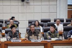 HIPMI Buka Suara Soal IHSG Anjlok 11,57%, Ajak Investor Tetap Optimistis